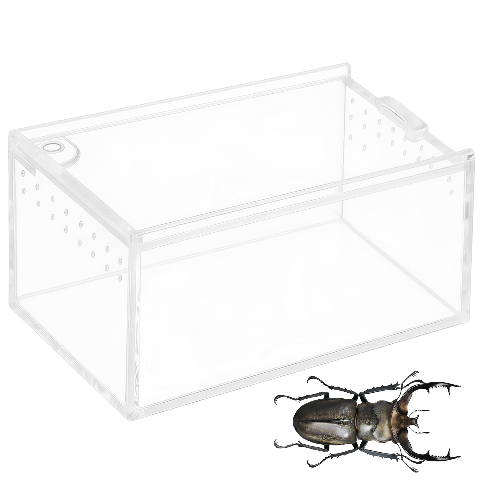 HAICN Reptile Feeding Box, Transparent Acrylic Habitat Terrarium Breathable Breeding Tank Tarantula Enclosure for Jumping Spider Snail Scorpion Mantis Lizard Frog Turtle Small Amphibians & Insects.