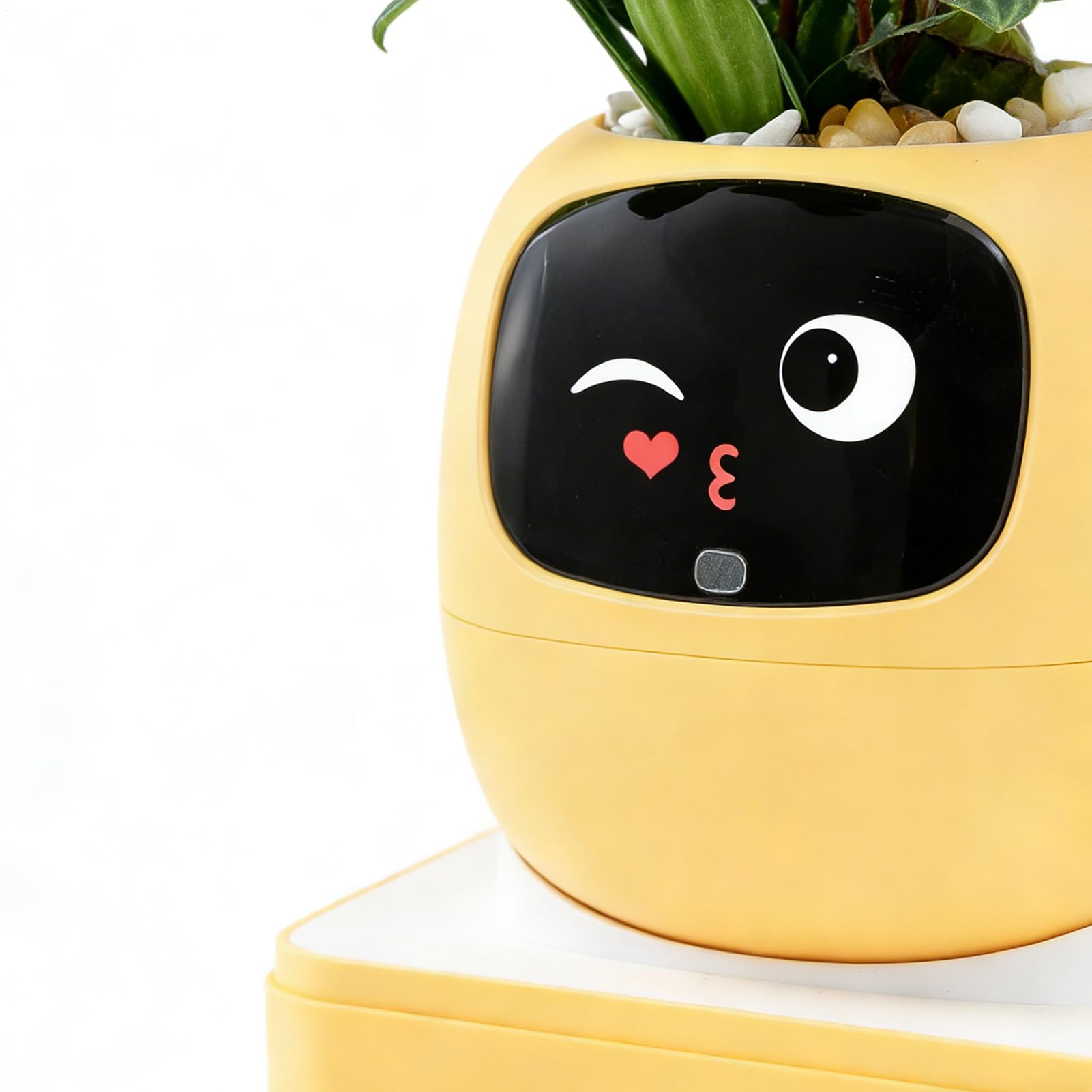 Smart Flower Pot – Smart Pet Flowers Pot – Intelligent Interactive Flower Pot | per interni, appartamento, ufficio, soggiorno, camera da , balcone, patio, principianti, compleanno, San