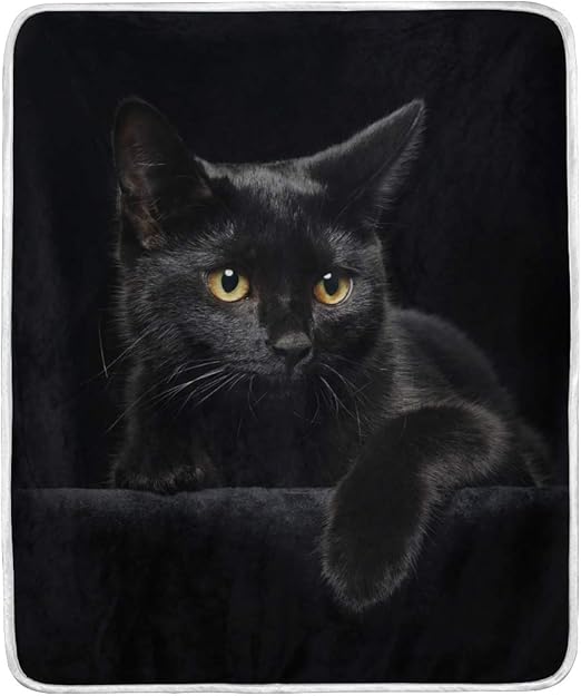 Amazon ひざ掛け ブランケット 大判 黒猫 猫柄 マイクロファイバー おしゃれ ふわふわ 薄手 毛布 ２枚合わせ 軽い 暖かい 発熱 保温 洗える 130ｘ150 ひざ掛け ハーフケット オンライン通販