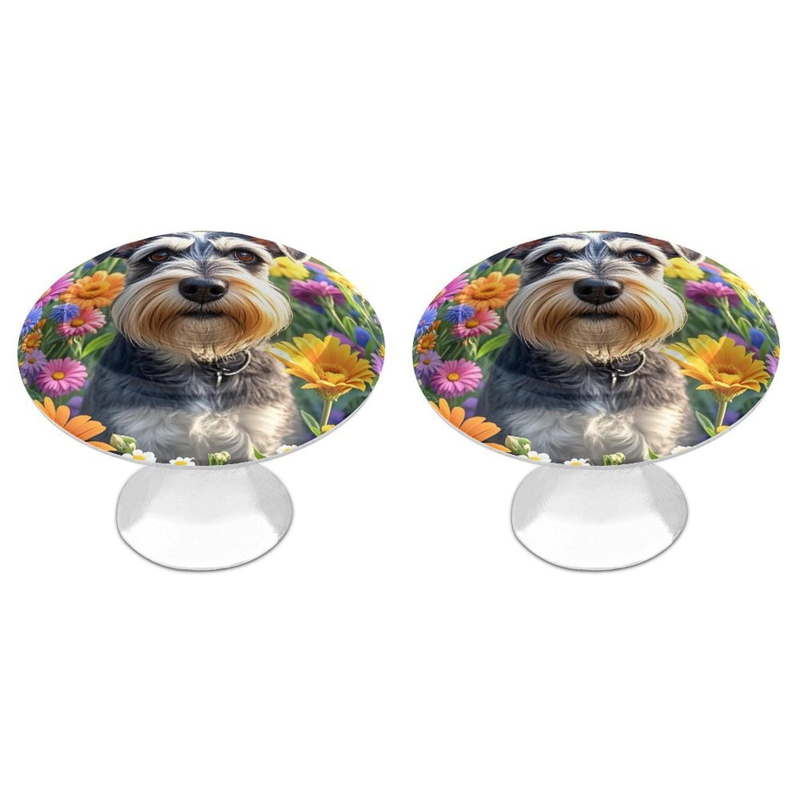 FekiLoot Round Cabinet Knob 2 Pack Kitchen Drawer Knobs Stainless Steel Round Drawer Pulls Modern Cabinet Hardware Schnauzer Drawer Hardware for Dresser Closet Door Knobs