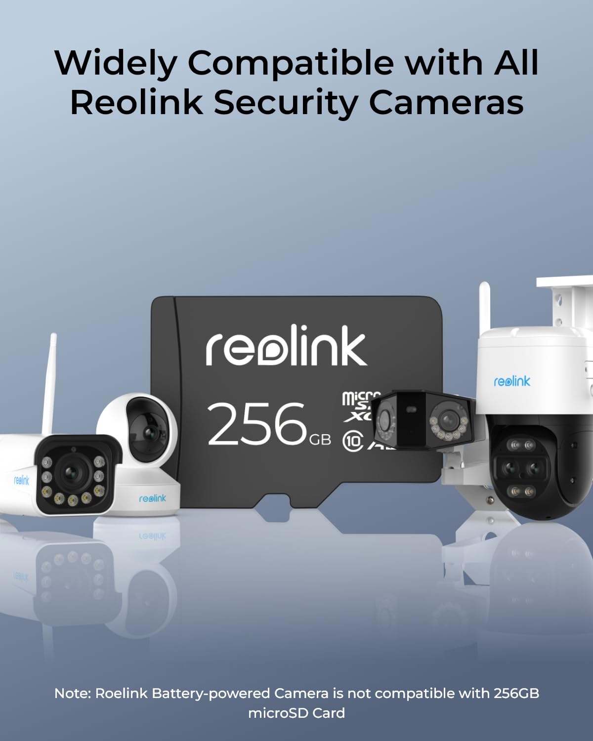 Reolink Karta Micro SD 256 GB, karta pamięci MicroSDXC klasy 10 A2 U3 o dużej szybkości, kompatybilna z kamerą bezpieczeństwa Reolink