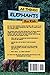All Things Elephants For Kids: Filled With Plenty of Facts, Photos, and Fun to Learn all About Elephants