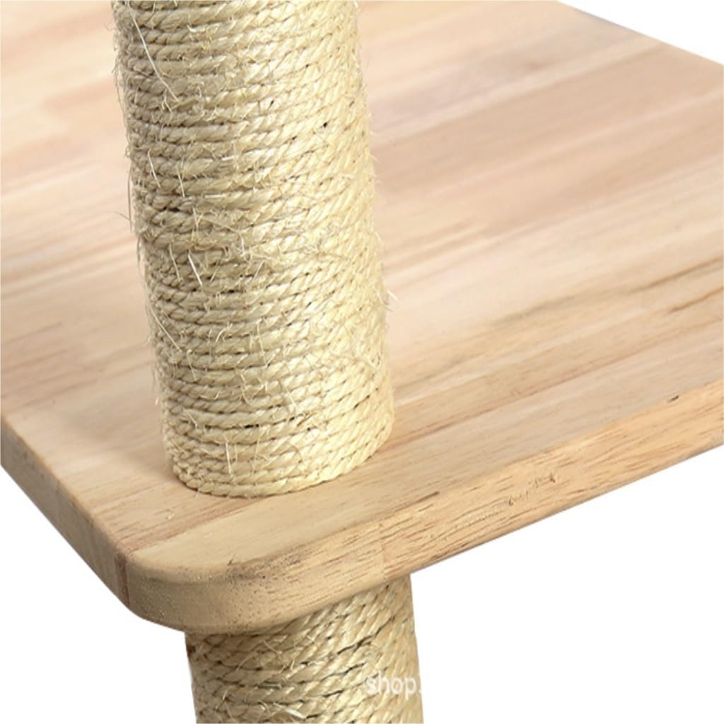 KIKUCHI スプリングローラー スタイリストスクリーン 100インチ