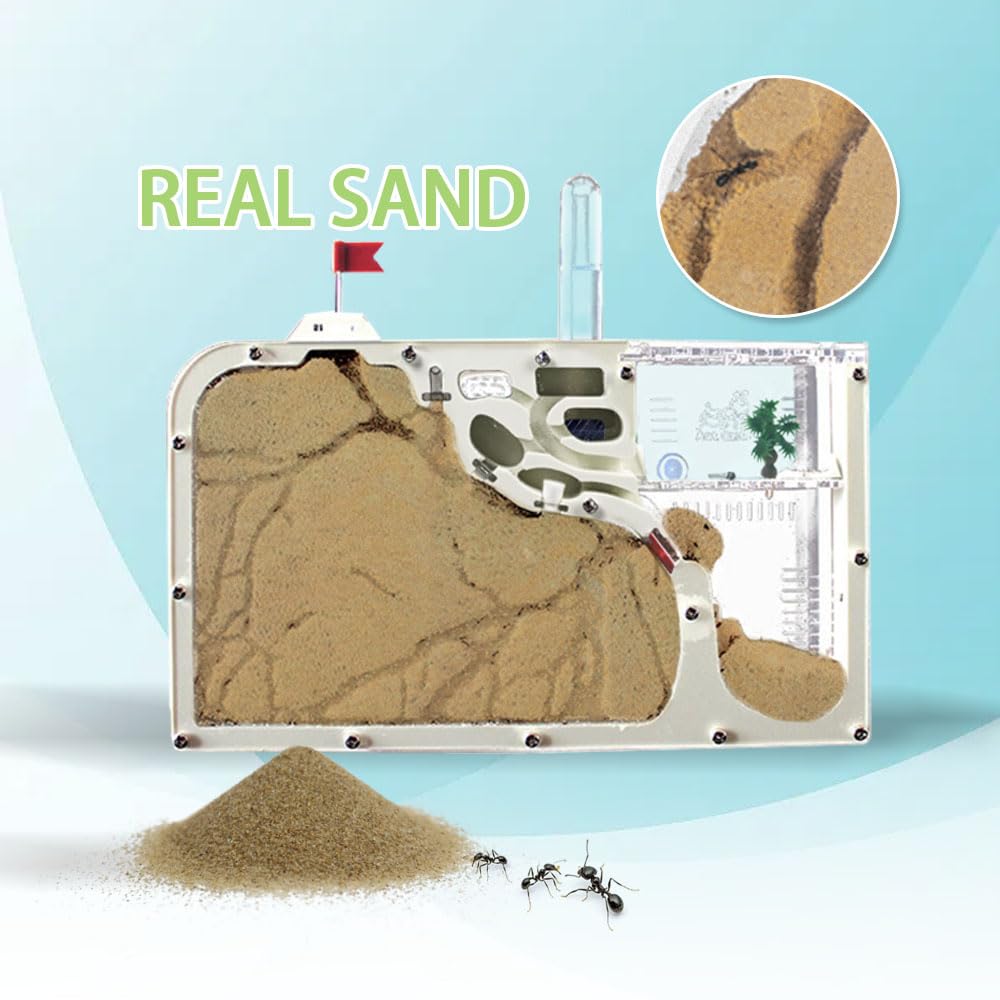 Ant Farm Castle Observation Kit - Double-Sided View, Automatic Watering, With Sand & Tools, No Live Ants