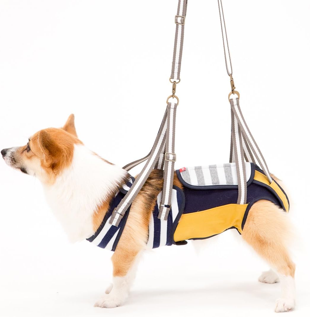 即出荷 Lalawalk 歩行補助ハーネス With ウィズ 送料無料 M 中型犬 コーギー用 1 X Mサイズ 犬 ボーダーマスタード 介護用品 即出荷 Lalawalk 歩行補助ハーネス With ウィズ 送料無料 M 中型犬 コーギー用 1 X Mサイズ 犬 ボーダーマスタード 介護用品
