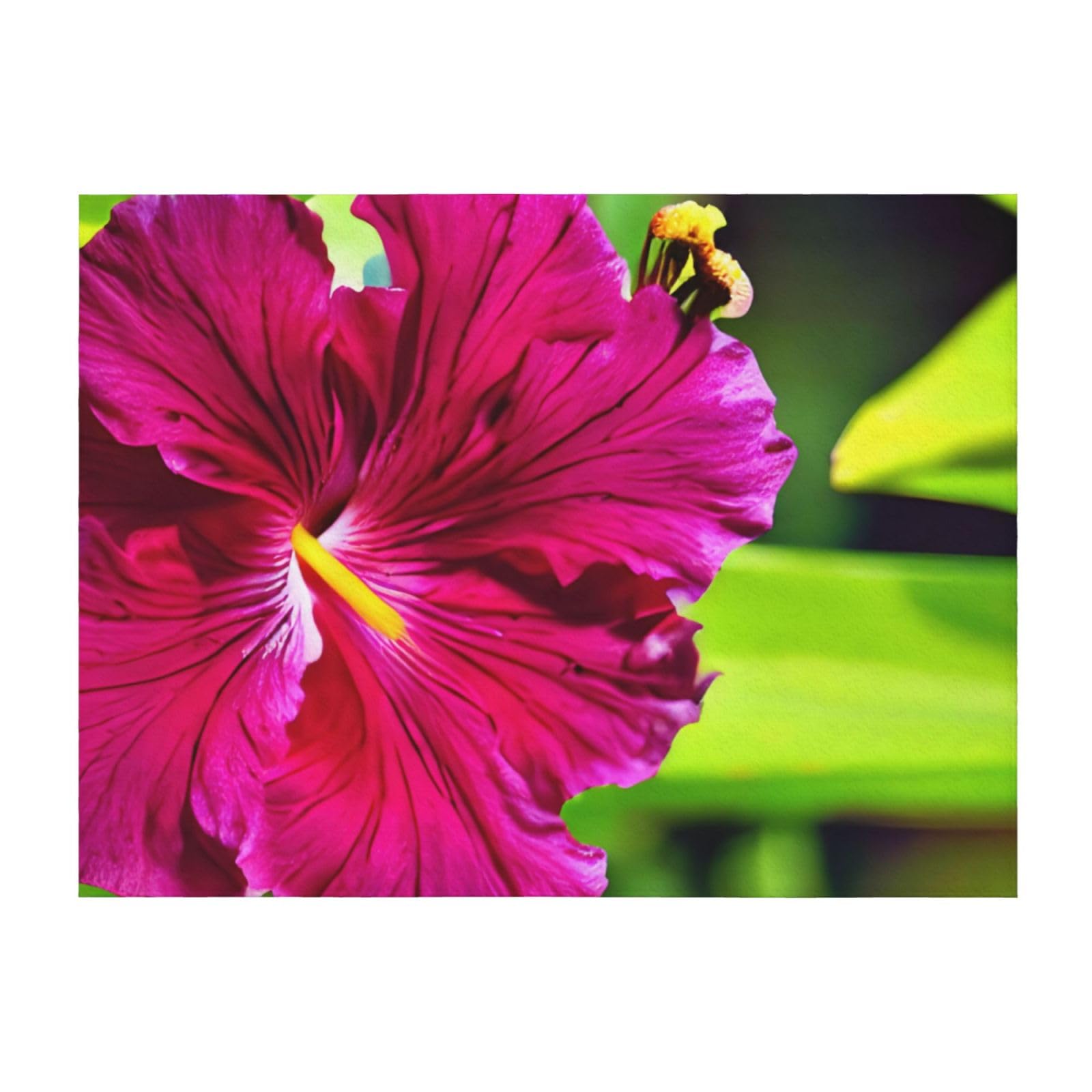 Couverture hibiscus EdWal contre la fraîcheur nocturne avec microfibre respirante