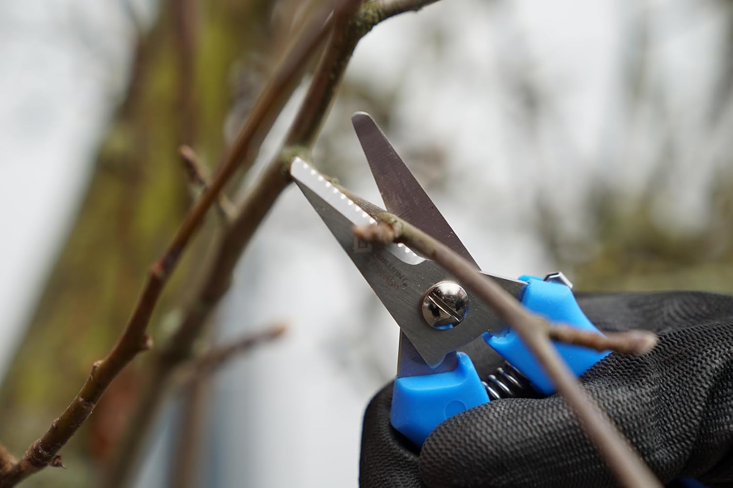 BRLLIANT TOOLS Werkstatt-Schere Brilliant BT100902 Universal Workshop Scissors [Powered by KS Tools]