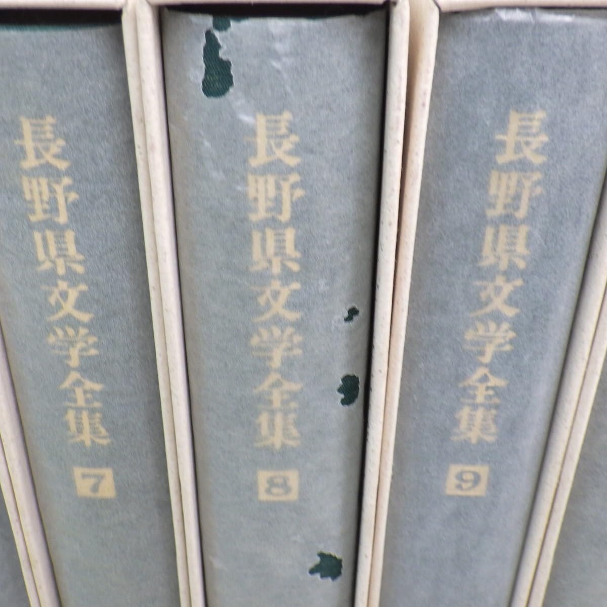 Amazon.co.jp: ふるさと名作の旅「長野県文学全集」第二期 全10巻+第三