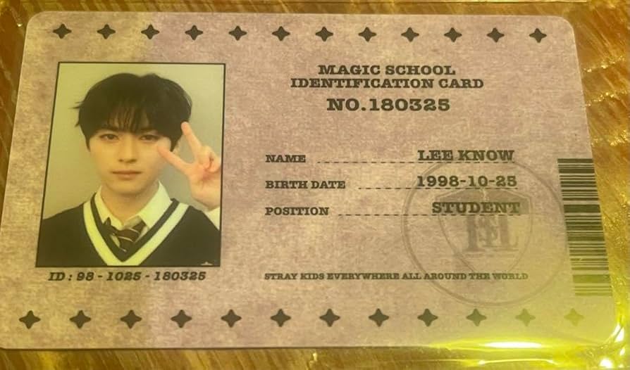 StrayKids リノ 学生証 StrayKids MAGIC SCHOOL IDカード 学生証 リノ - メルカリ