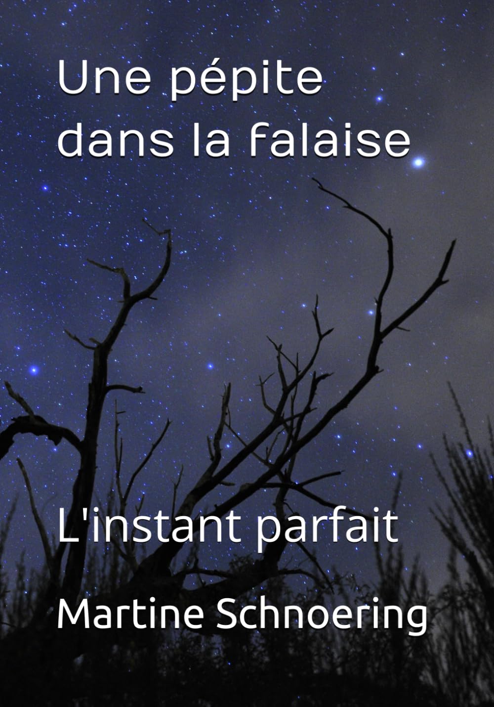 Une pépite dans la falaise: L'instant parfait