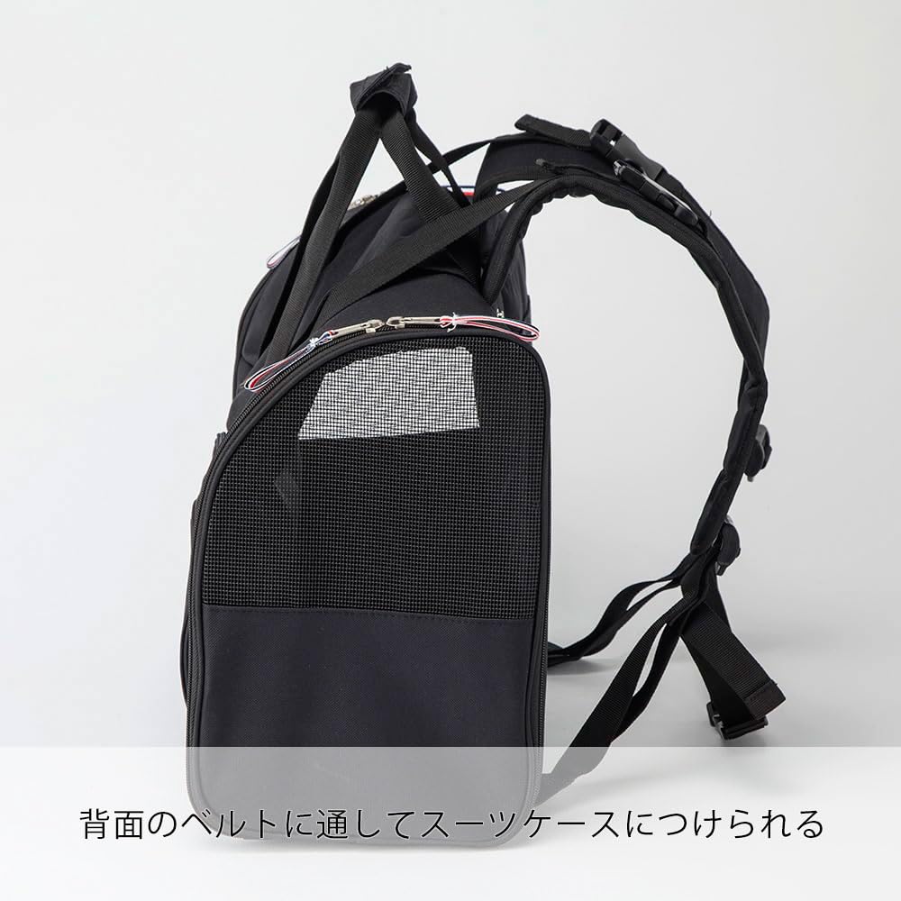 Amazon.co.jp: カインズ(CAINZ) ペットキャリー 幅43cm×奥行21cm×高さ