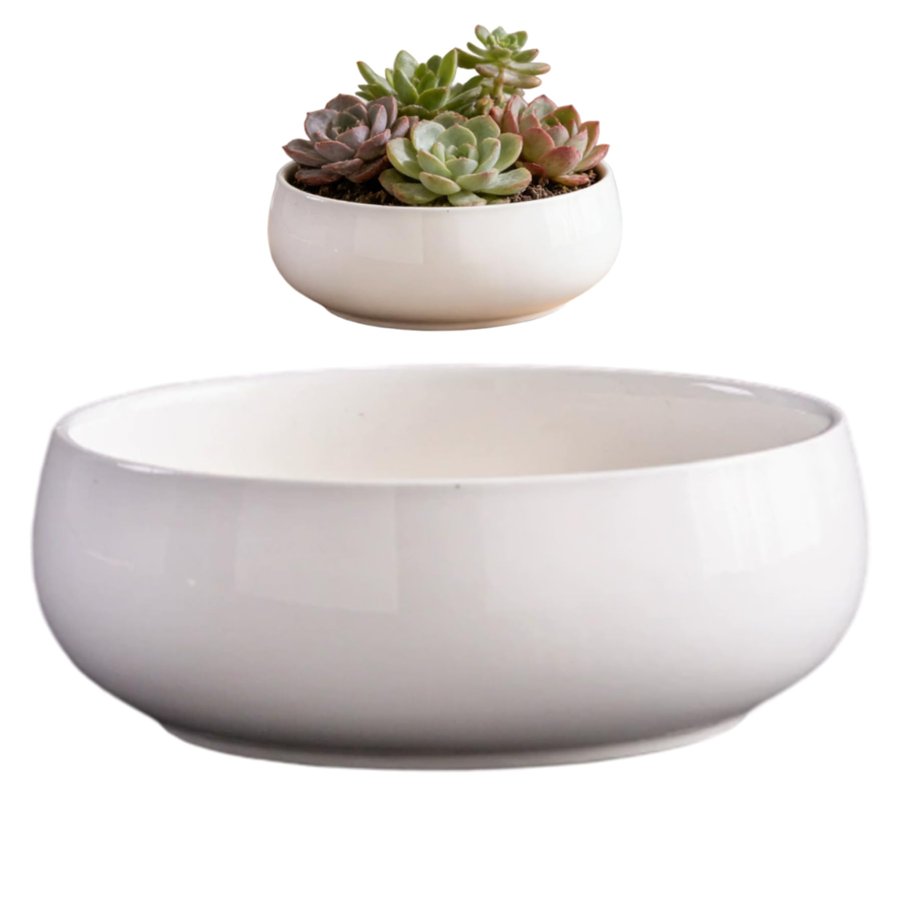 Pot de fleurs peu profond en lotus blanc 16,5 cm anti-stagnation d'eau