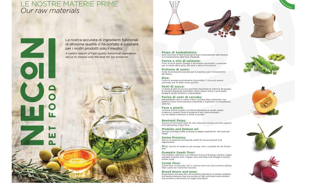 NECON PET FOOD Natural Wellness wieprzowina i ryż dla dorosłych, 3 x 400 g, karma dla kotów dla dorosłych, witaminy o niskiej zawartości ziarna, bogata w witaminy, super jakość, Made in Italy