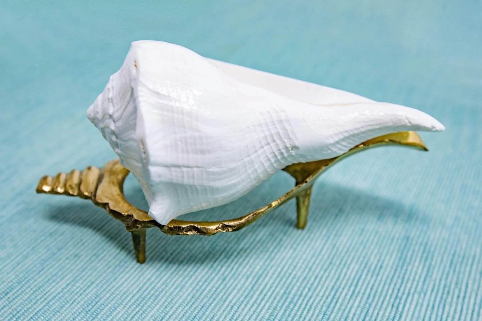 Dakshinavarthi Shankh (2 Inch Length) with Brass Stand | Authentic Right-Handed Non-Blowing Shankh for Pooja | Sangu (Lakshmi SHANKH for Vastu Dosh)