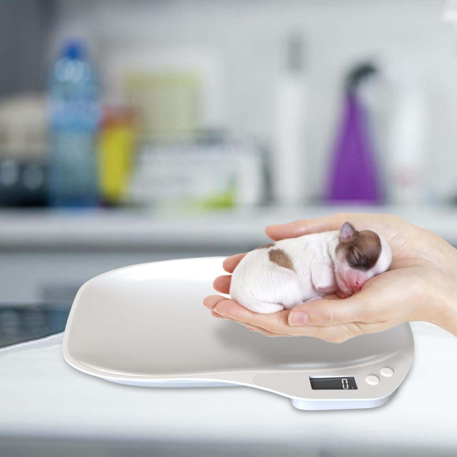 Digital para Mascotas, Báscula Electrónica para Pesar Alimentos, Báscula de Cocina para Hornear.