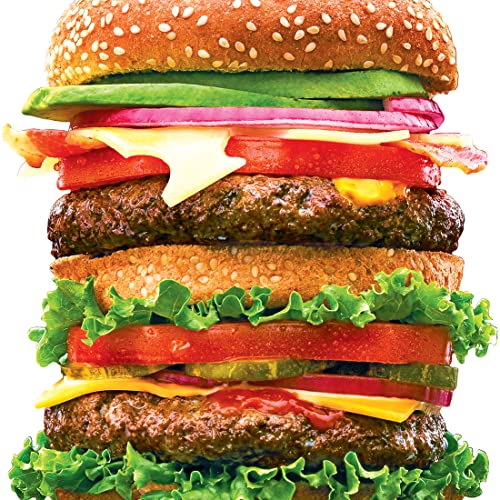 RoseArt - Big Shaped - Juicy Burger - 500 Piece Jigsaw Puzzle for Adults