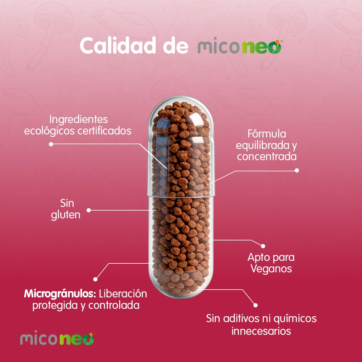 MICO NEO | Complemento Alimenticio 60 Cápsulas | Para Aumentar las Defensas y Proporcionar Energía Diaria | A Base de Reishi Camu-Camu y Vitamina C | Apto para Vegetarianos | Tomar 1 o 2 al día