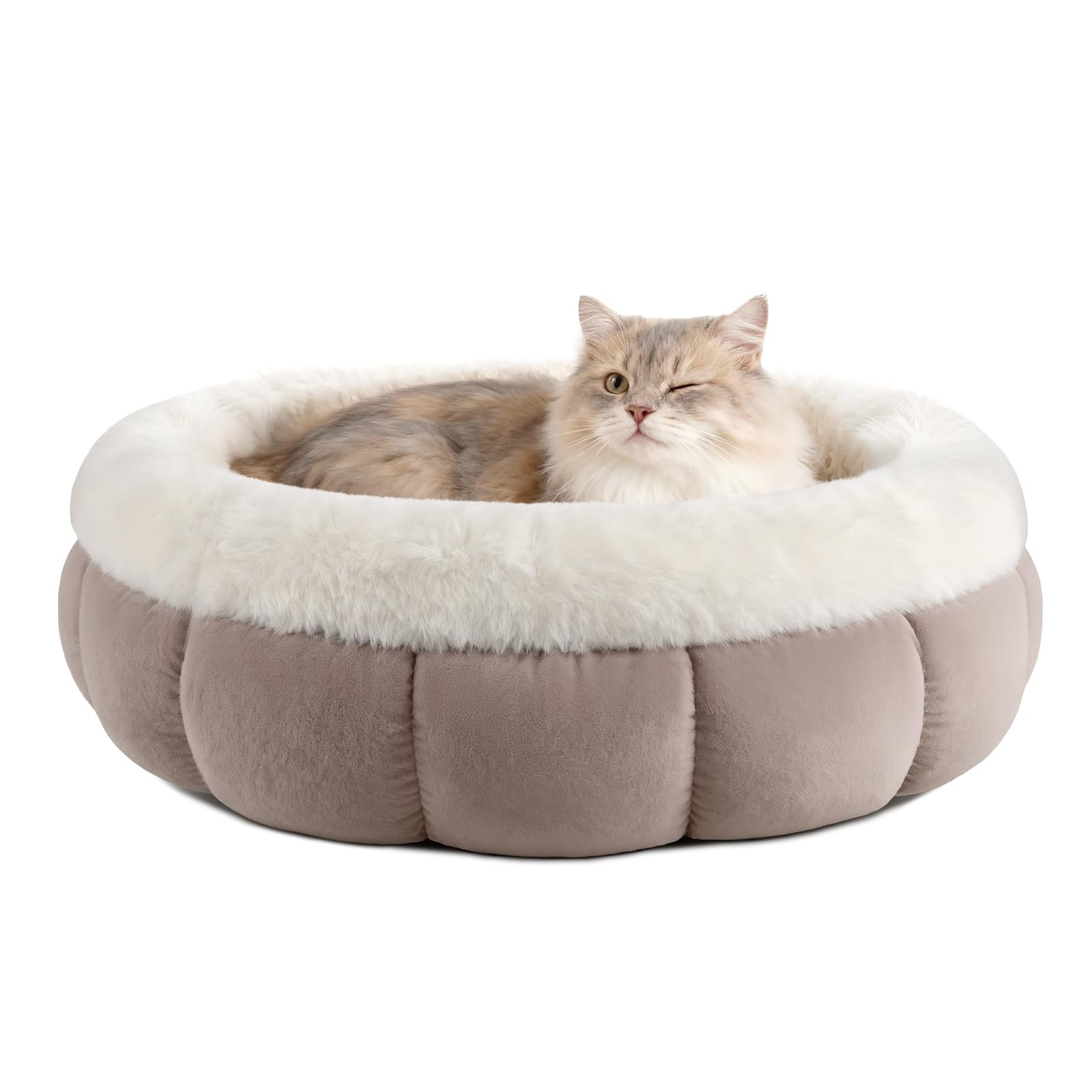 EDMIENS Small Cat bed, Round Cat Beds for Indoor Machine Washable, Kitten Bed Donut Fluffy Calming, Non Slip Reversible Cushion Pet Bed for Cats, Small Dog, Medium Puppy(45x45x16.5cm, Brown)