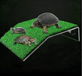 Amazon | POFUIERKN 亀のバスキングプラットフォーム 亀休憩台