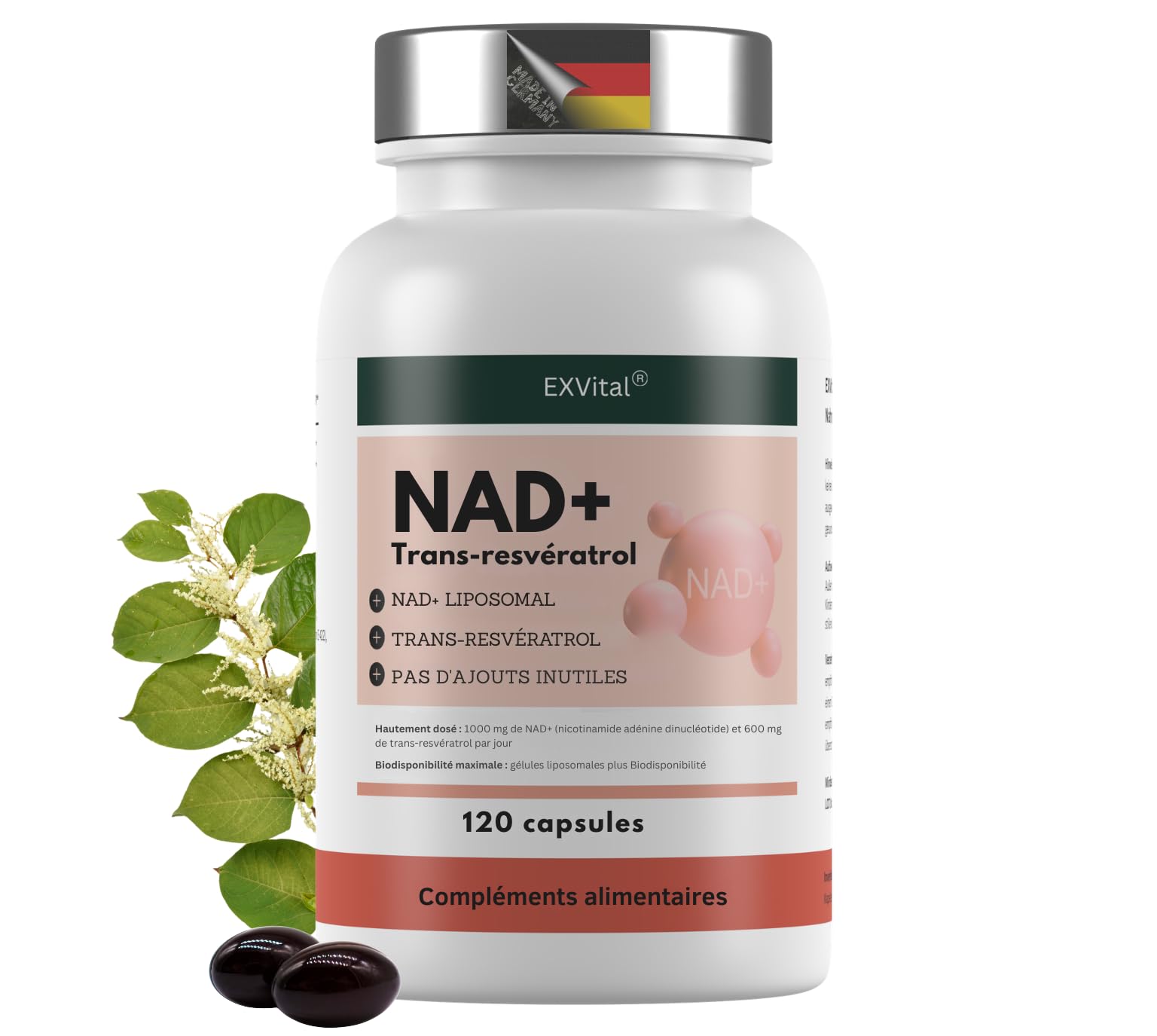 EXVital® NAD+, 1000 mg de NAD+ et 600 mg de trans-resvératrol par jour - 120 gélules végétaliennes - liposomales et biodisponibilité maximale, hautement dosées et testées en laboratoire