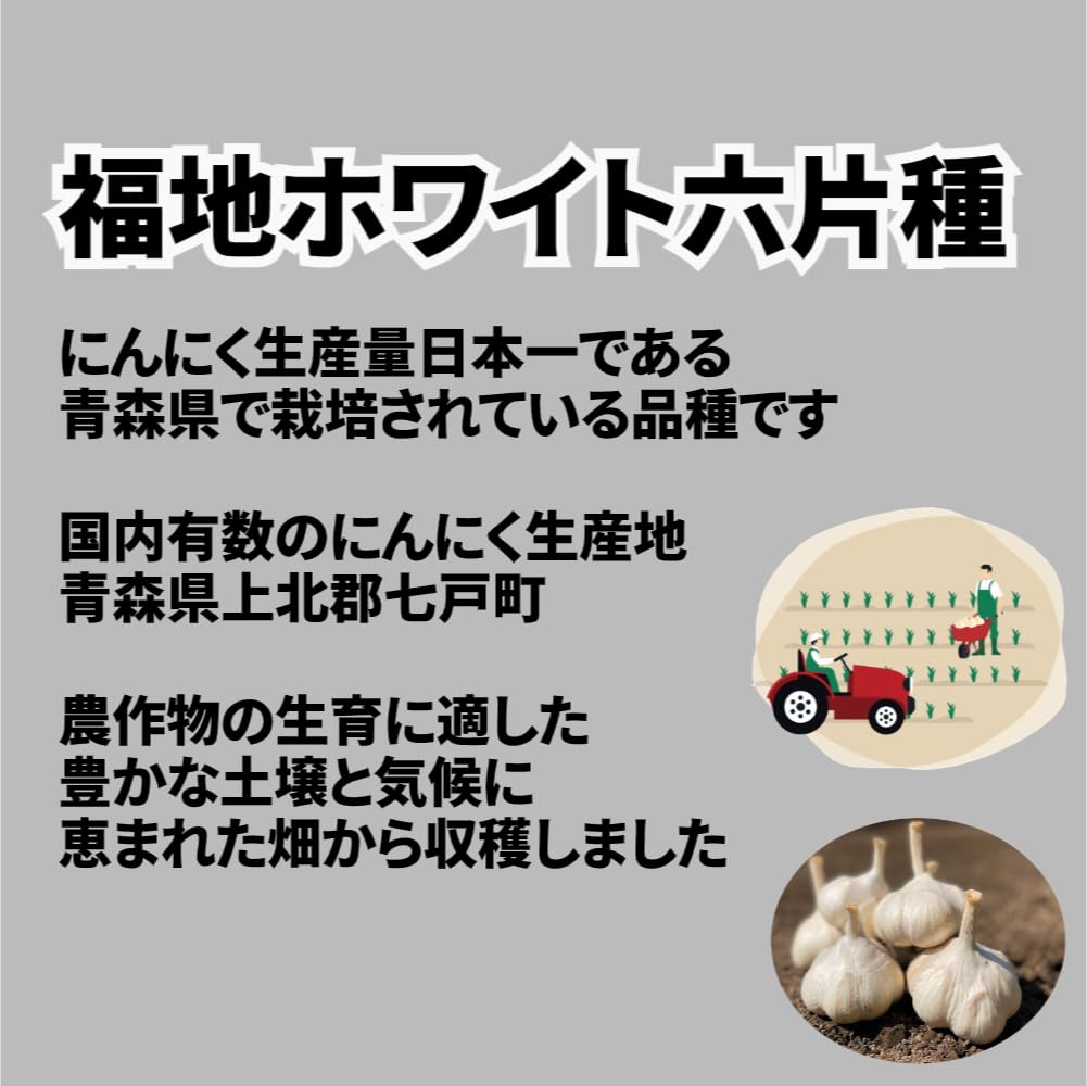 青森産にんにく500g 訳あり 福地ホワイト六片種