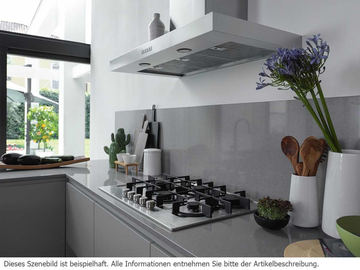FRANKE Tale 1215 W XS - Campana extractora de pared (acero inoxidable, 120 cm)