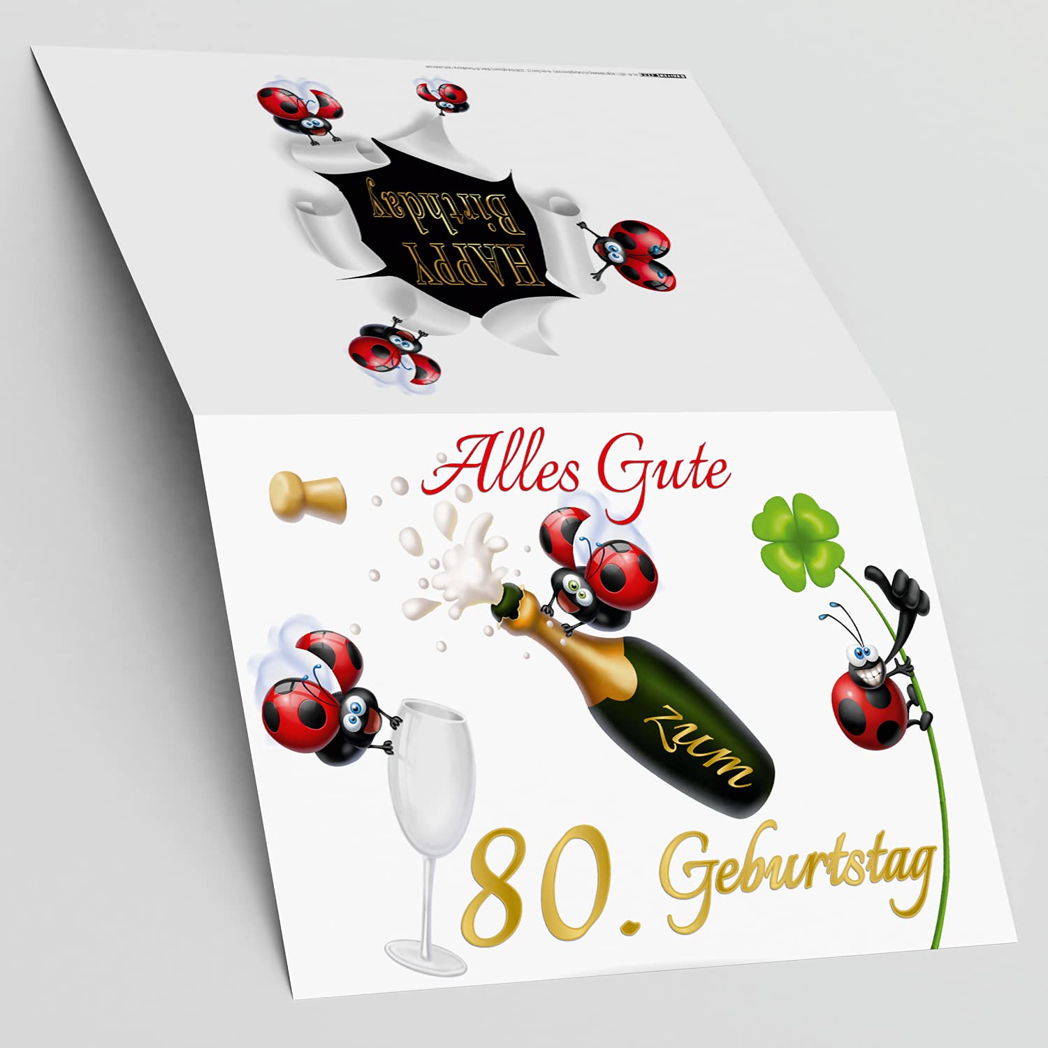 BREITENWERK 9er SPAR-SET: A4 XXL 80 Geburtstag Karten mit MARIENKÄFER & ERDMÄNNCHEN Motiv + Umschläge mit Papprücken - lustige Geburtstagskarte Glückwunschkarte zum 80. Geburtstag für Frau & Mann