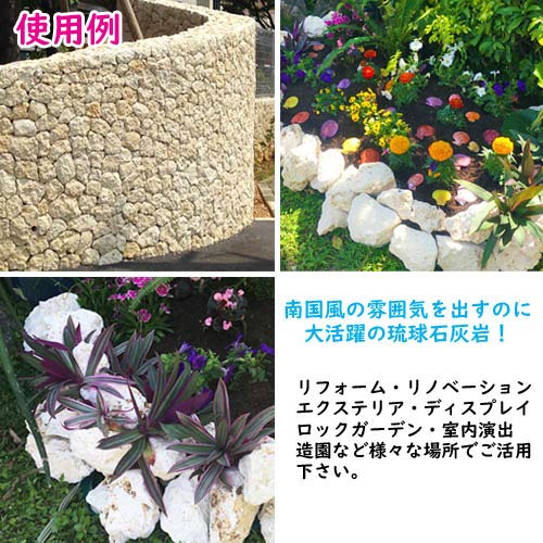 Amazon.co.jp: H 琉球石灰岩 洗浄済 小サイズ 19～21kg(19～21個