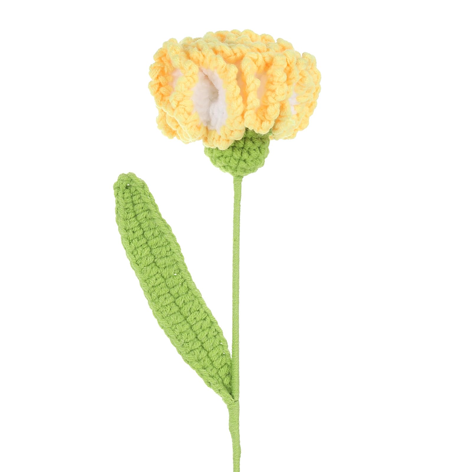 PATIKIL Crochet Flowers
