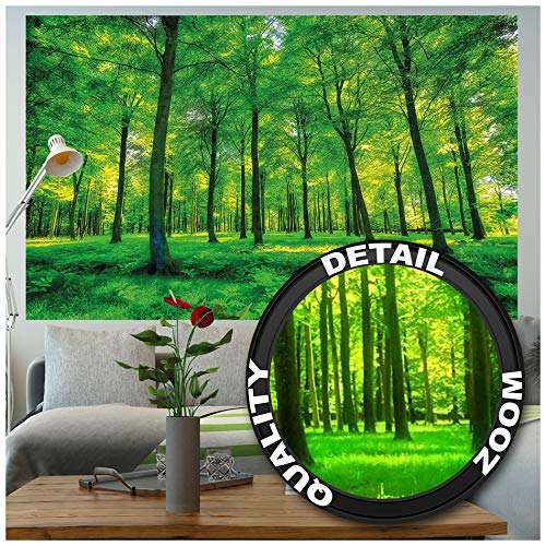 Poster – Summer Trees – Picture Decoration Nature Landscape Forest Glade Sunbeams Plants Flora Ferns Relaxation Sapling Spa Image Photo Decor Wall Mural (55X39.4In - 140X100Cm) #TOP1