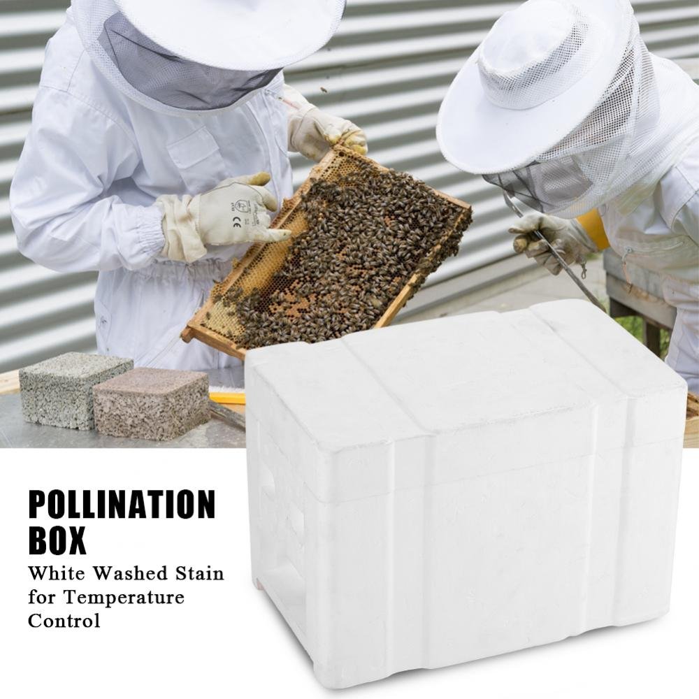 Caja de Apicultura, Marcos de Colmena, EPS, Colmena de Abejas Rey Caja de PolinizacióN, Equipo de Apicultura, 24 x 14,8 x 16,5 cm
