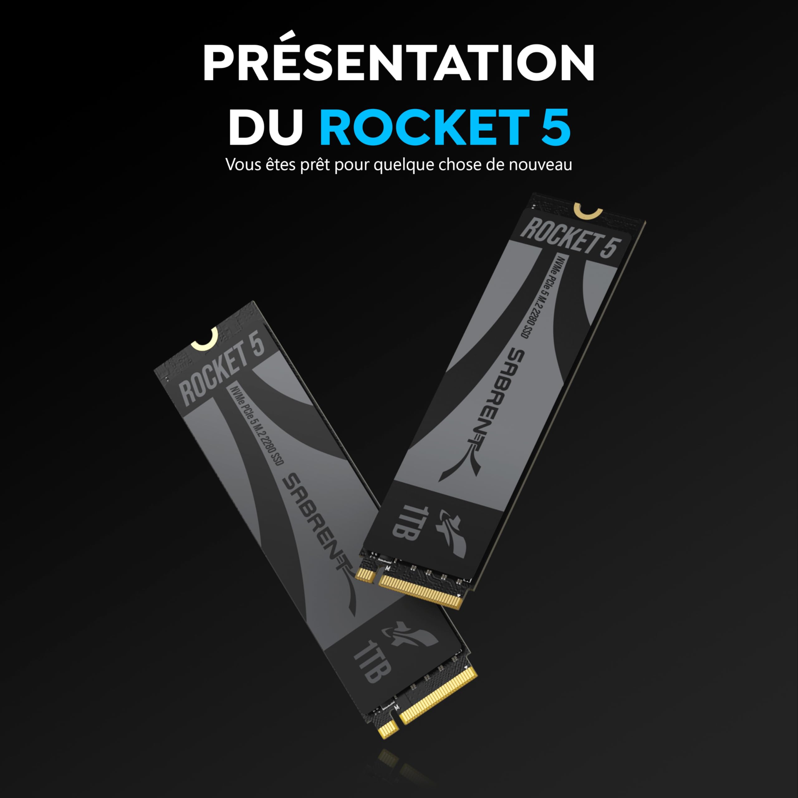 SABRENT Rocket 5 Disque SSD Interne M.2 PCIe GEN 5 14 Go/s X4 NVMe SSD (SB-RKT5-1TB)