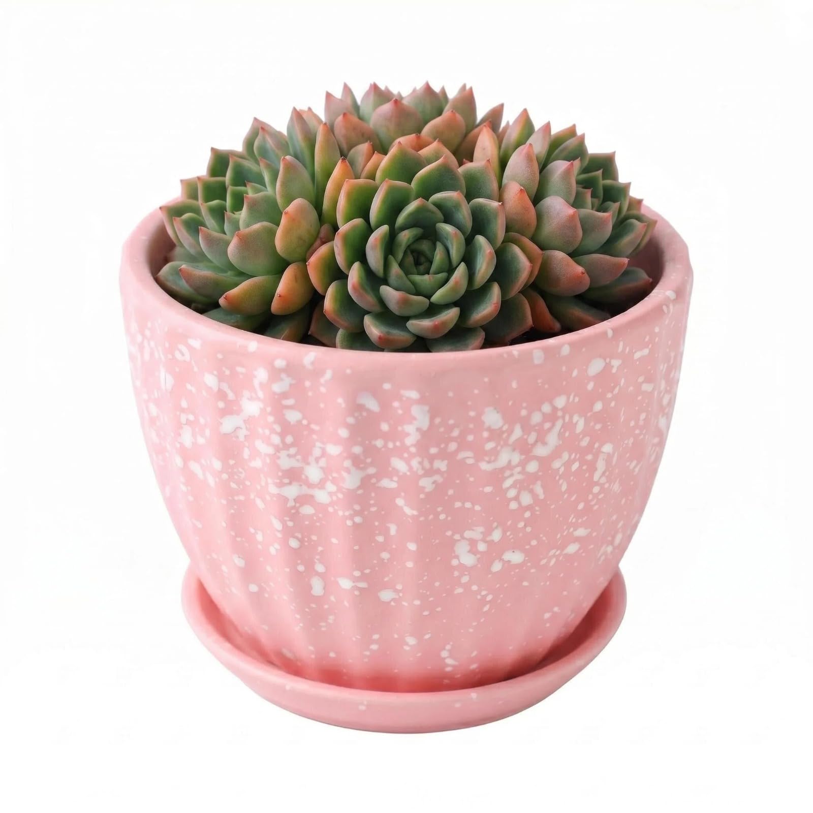 Photo 1 of SUSOYAOCHEN 4 Inch Ceramic Succulent Planter Pots with Drainage Holes and Saucers for Indoor Succulent, Bonsai, Cactus, Small Flower (Red)