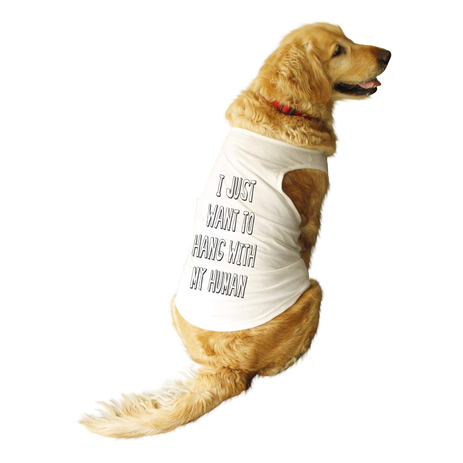 Ruse. Pet I Just Want Round Neck Sleeveless Vest Tank T-Shirt/Tees for Dog Clothes Summer Apparel./Small (Apso, Shih Tzu etc.) (B07PY8NJPD) Amazon Price History, Amazon Price Tracker