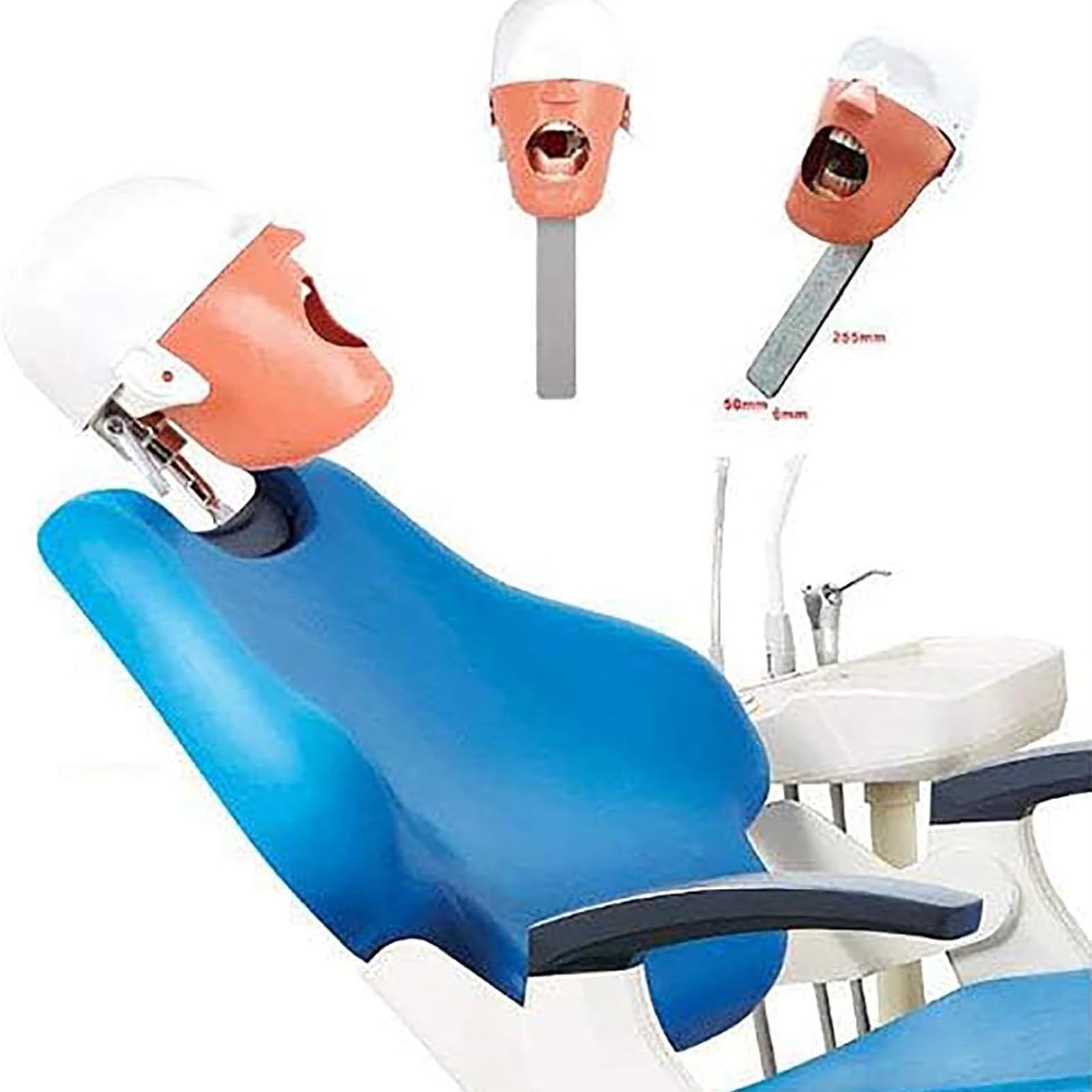 Dentalsimulator, Dental-Phantomkopfmodell Mit Tischmontage, 360° Verstellbar, 1:1 Hohe Emulation, Zähne Können Bewegt Und Entleert Werden, Sicher Und Geruchlos,für Zahnärzte, Zahnarzthelferinnen