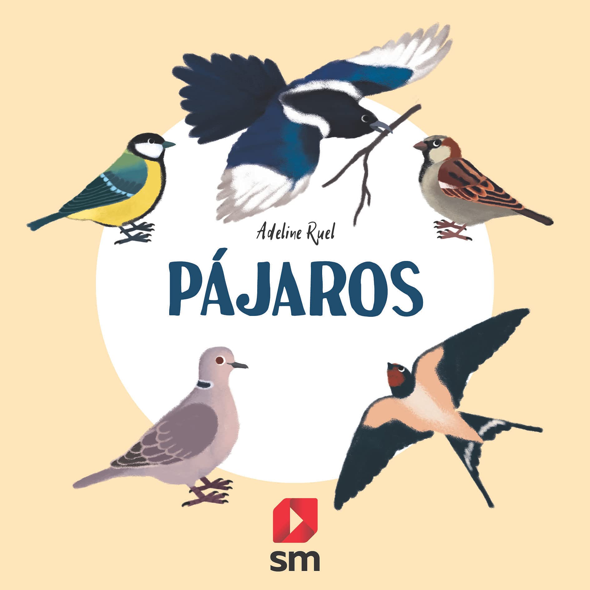 Pájaros (Naturaleza)