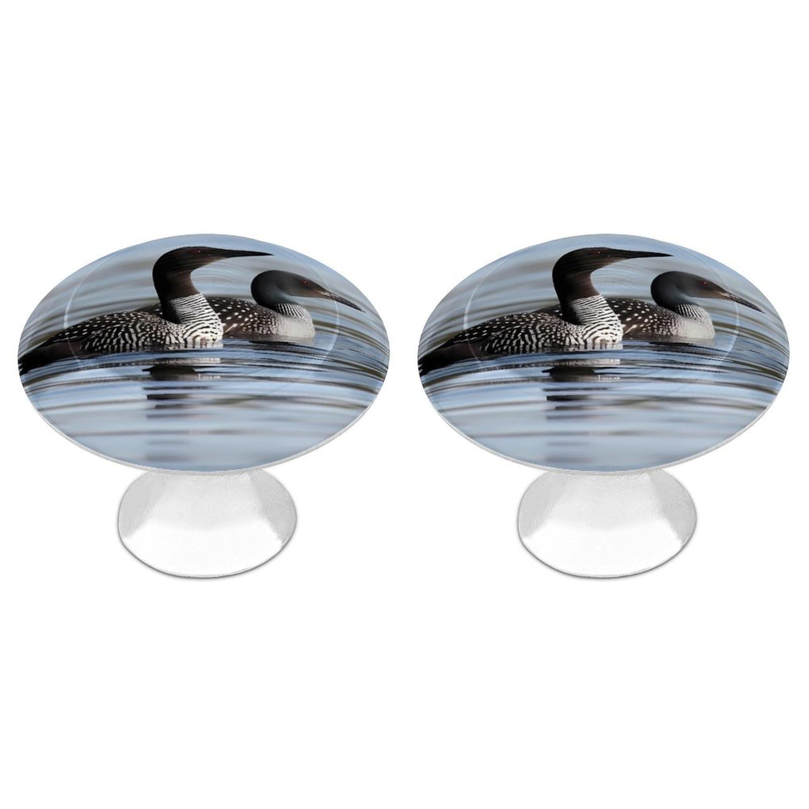 DWVTSLH Loon Birds Cabinet Handles 2 Pack Stainless Steel Kitchen Drawer Pulls with Installation Screws Round Dresser Drawer Knobs 1.1 Inch Modern Cabinet Hardware Door Handles