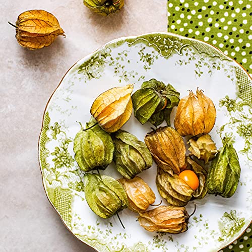 Physalis Samen für Andenbeeren – Hochwertiges Obstsaatgut