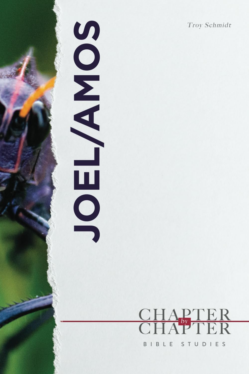 Joel / Amos: A Chapter-by-Chapter Bible Study: An Easy-to-Use Study of an Entire Book of the Bible