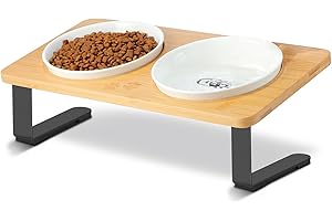 6" Elevated Cat Bowls Tilted Whisker Friendly Wide Ceramic Raised Cat Food...