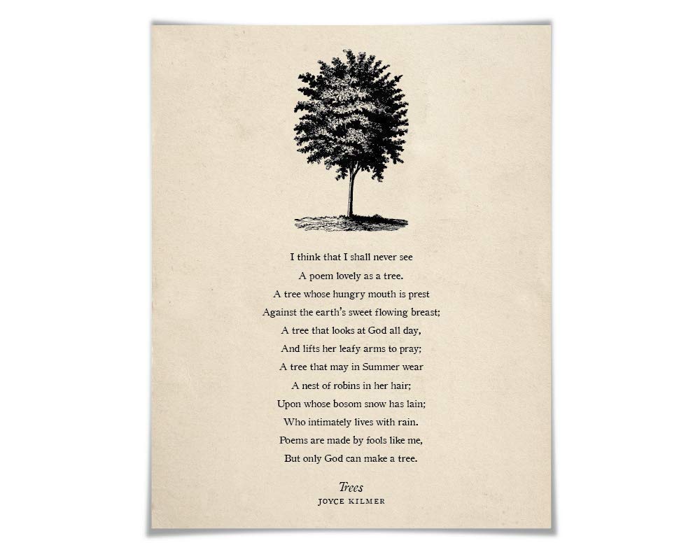Alder перевод. Land the tree перевод. The poems. That tree перевод. Poem tree.