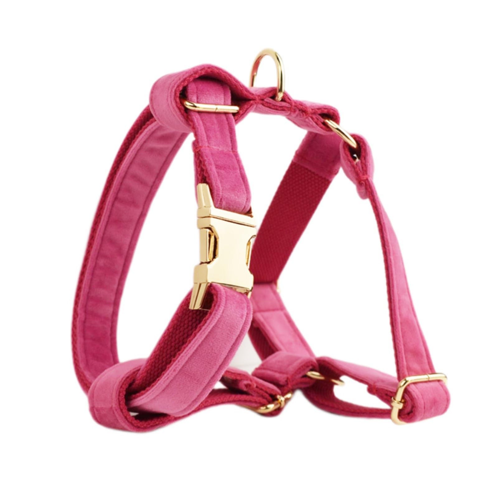 Piccolo Imbracatura Per Cani E Guinzaglio Imbracatura Da Cucciolo Regolabile Con Portata Di Cacca Anti-Twist Dog Guinzaglio Per Addestramento A Camminata Facile Correre