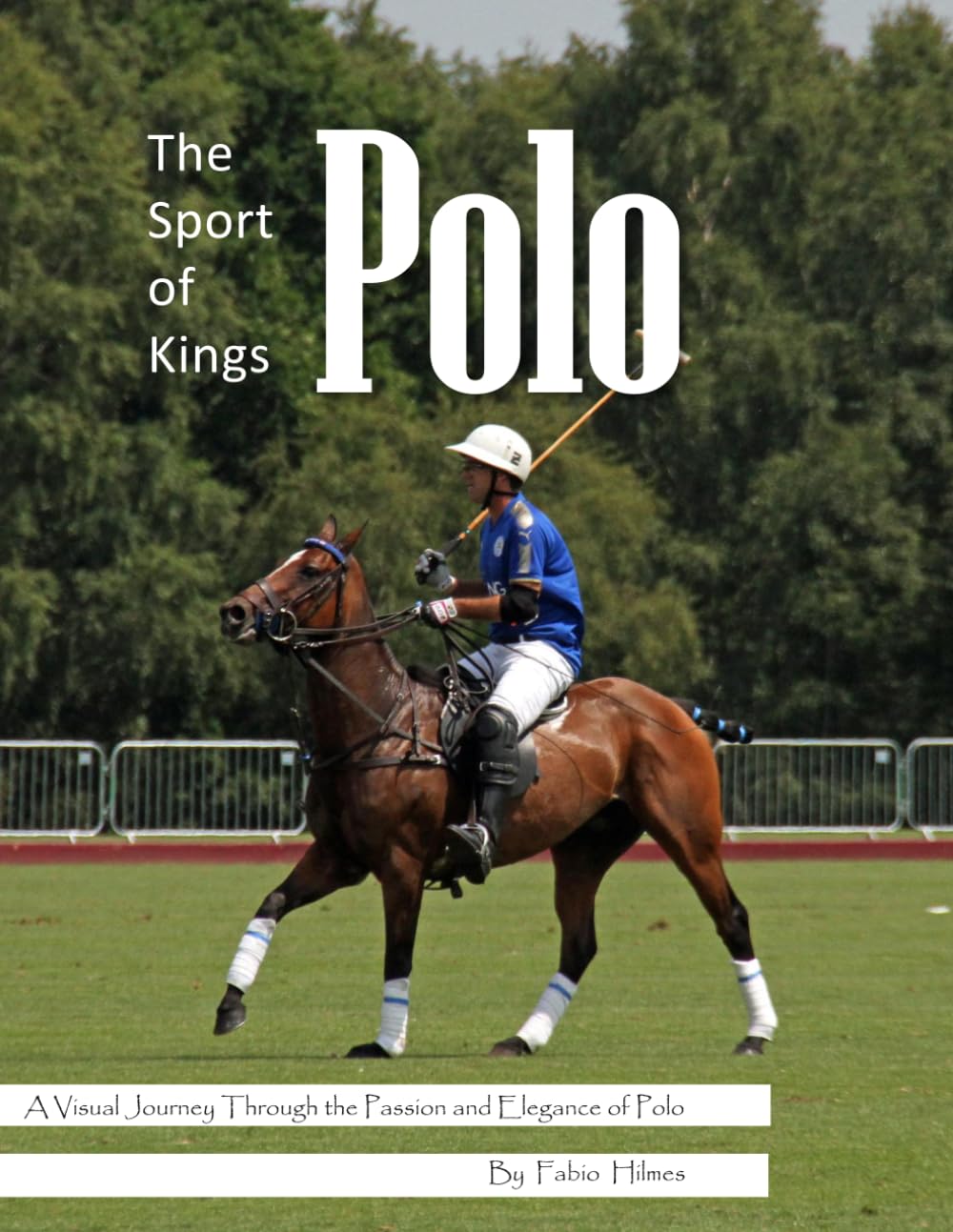 Polo Picture Book: An Elegant Visual Journey Through the Sport of Kings for Seniors, Alzheimer's Sufferers, and Equestrian Lovers.