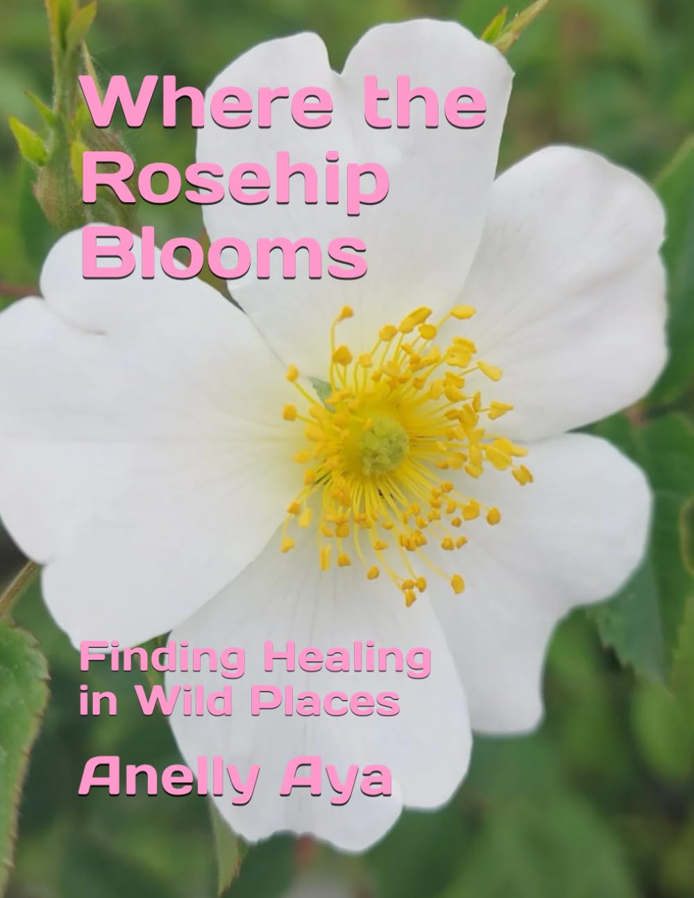 Where the Rosehip Blooms: Finding Healing in Wild Places