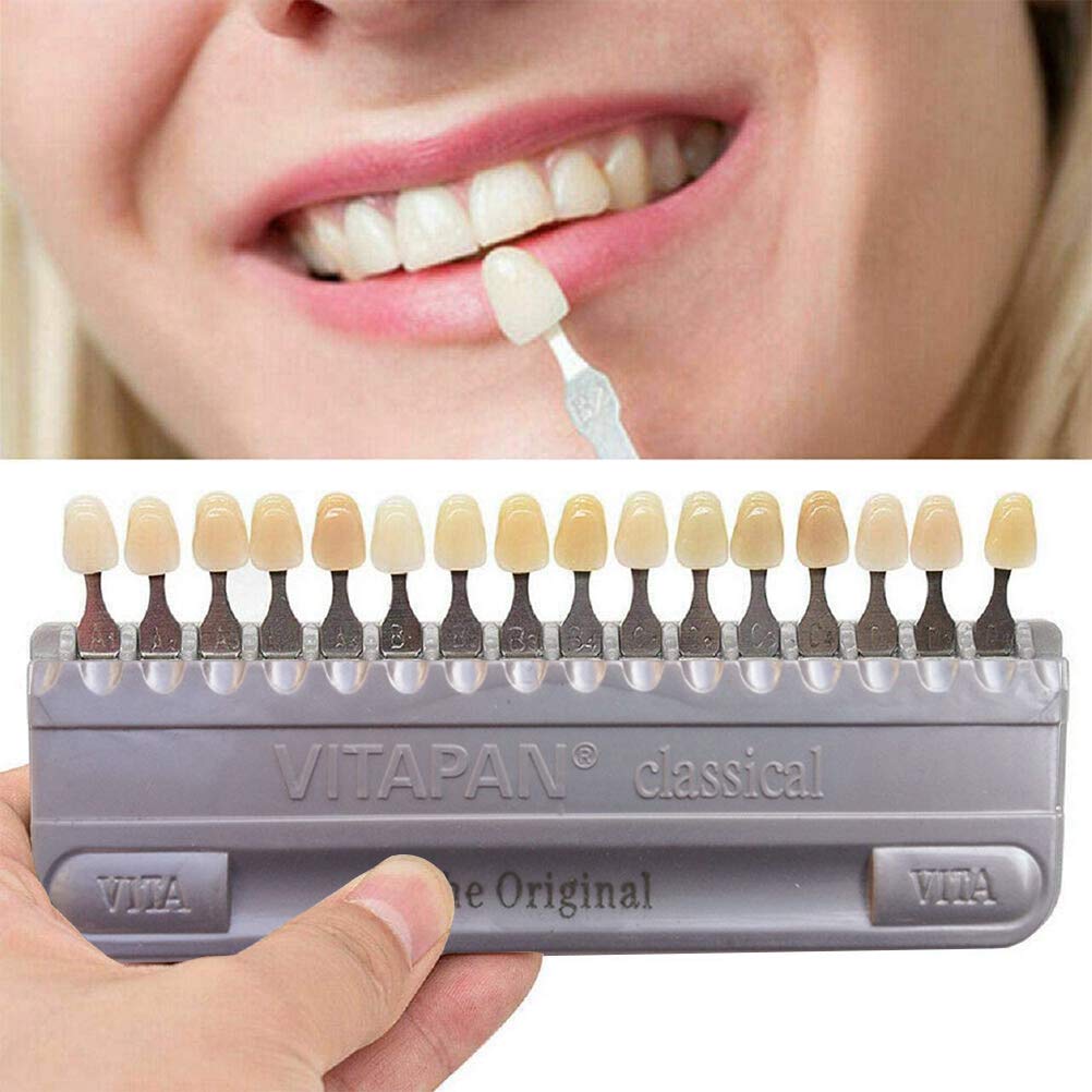 Buy 16 Colors Dental Tooth Color Model Shade Guide, 3D Professional
