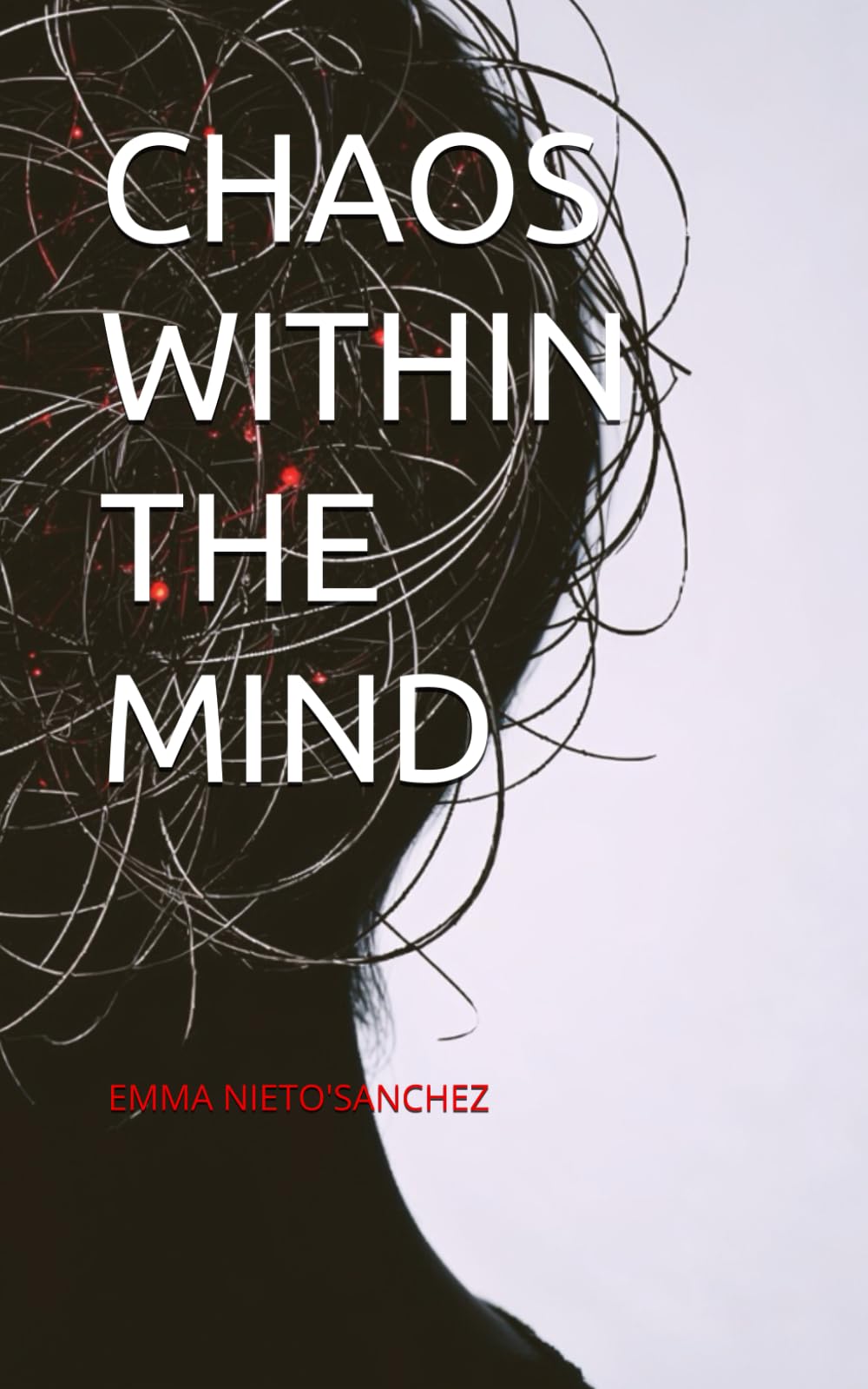CHAOS WITHIN THE MIND