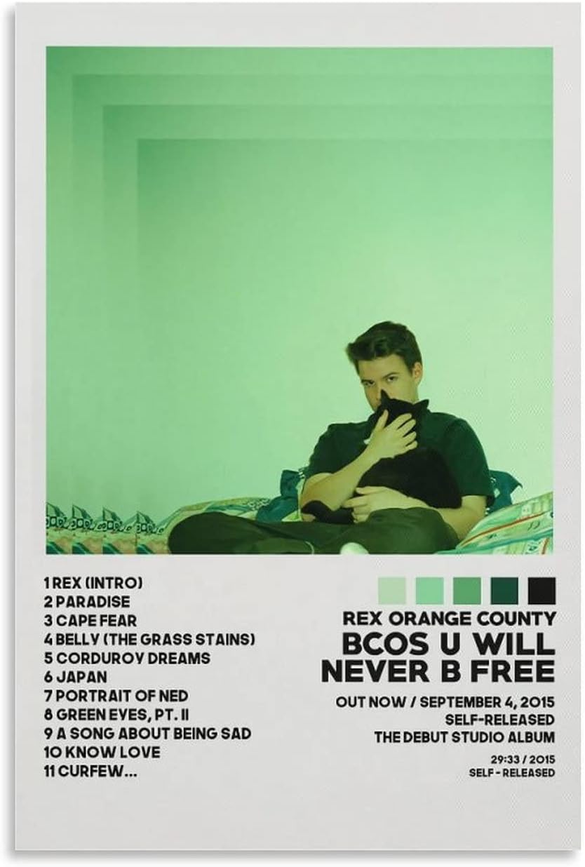 QIAOZQIAOZ Rex Orange County Poster Bcos U Will Never B Free Album Cover Poster for Room Aesthetic Decorative Painting Canvas Wall Art Bedroom Painting 12x18inch(30x45cm)