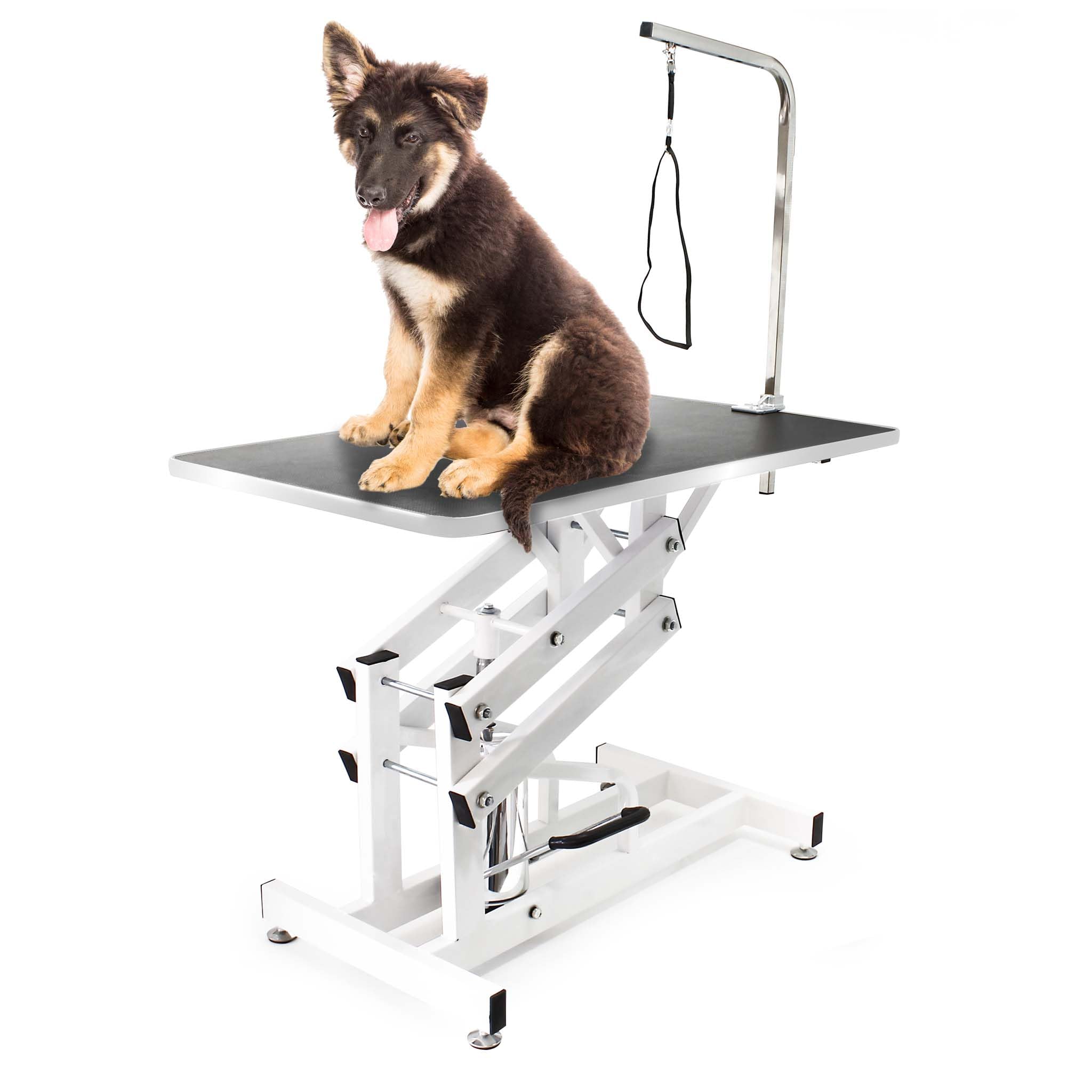 Wiltec Tavolo da toelettatura Idraulico richiudibile per Cane e Gatto