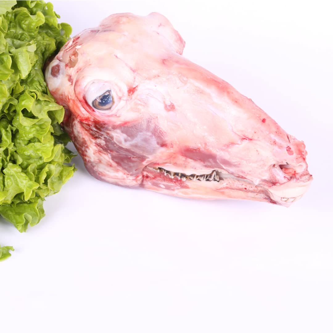 Halal Lamb Head 1.6kg x 4 Pack | Premium Halal Whole Lamb Heads | Ideal for Slow Cooking, Roasting & Traditional Dishes | Grass-Fed