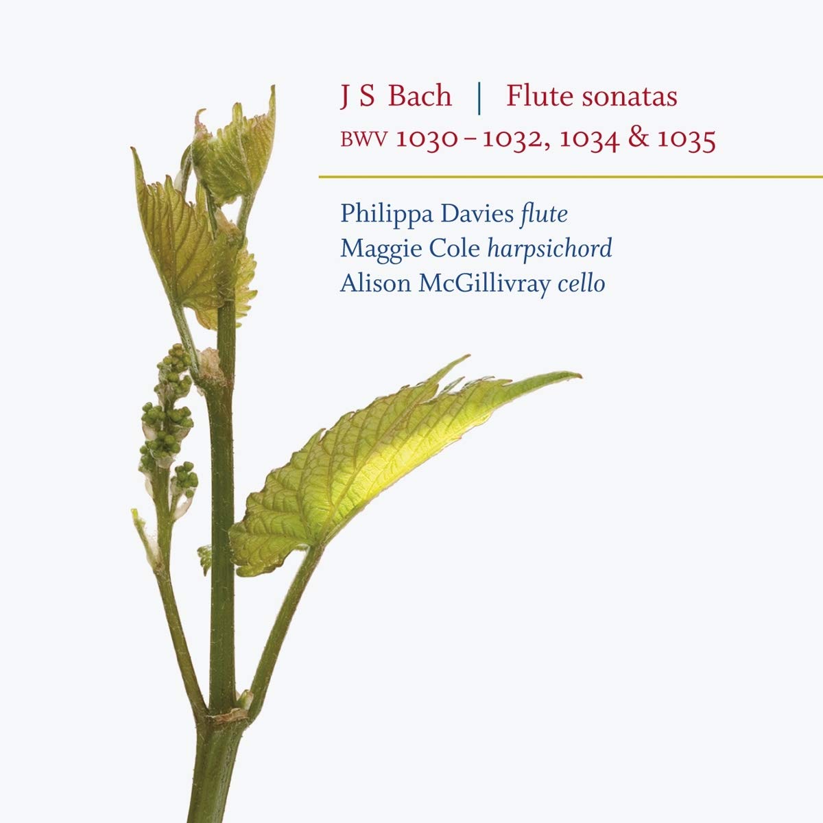 J S Bach: Flute Sonatas